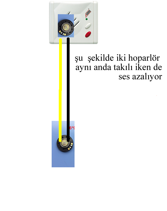 Untitled-12.jpg