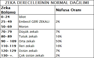 zeka-tablo.jpg