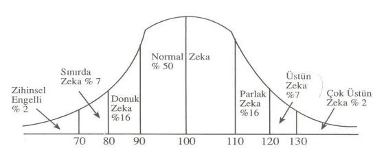 zekan.jpg