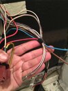 thumbnail_IMG_7695.jpg