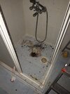 20201007_155820.jpg