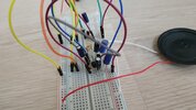 IMG_20201101_122859.jpg