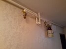 20201115_154952.jpg