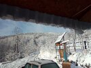 IMG_20210116_095238.jpg