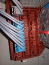 IMG20210203200422.jpg