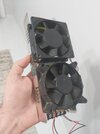 151418137_10222525458138611_6373321178544177339_o.jpg
