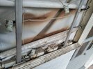 IMG_20220103_164708.jpg