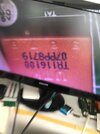 32B32DDF-9CF7-4FDD-B9DA-477992D4AC94.jpeg