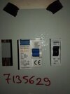 IMG_20230803_185531.jpg