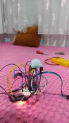 IMG_20230812_185615.jpg
