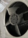 IMG_6093.jpeg