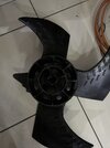 IMG_6172.jpeg