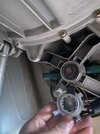 IMG_8940.jpeg