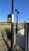 IMG_3136.jpeg