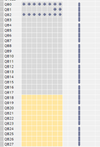 outputs.png
