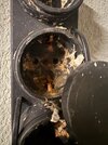 IMG_1062.jpeg