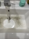 IMG_1302.jpeg