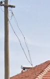 branşman.png
