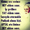 1742656553796.webp