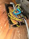 IMG_6974.webp
