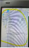 1748848675172.webp