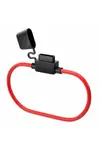 1_org_zoom (4).webp