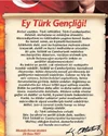 1755153443846.webp