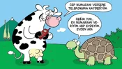 16p4t6t.webp