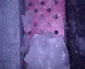 Snapshot000004.webp