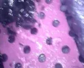 bandicam 2025-08-10 15-21-33-306.webp