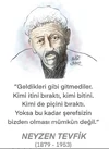 1756581683376.webp 1756581683376.webp