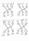 yu klmns2.webp