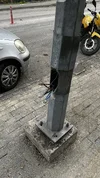 1769433845488.webp 1769433845488.webp