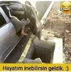 1769540911240.webp