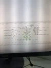 17739558206151058392476023265071.webp