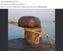 1782045445101.webp