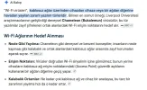 BÖCÜK.webp