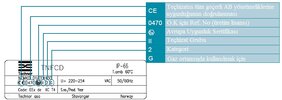 ATEX IBARESI.jpg