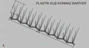 enh_kuşkonmaz.jpg