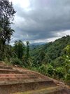 IMG_20180810_131957947_HDR.jpg