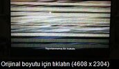 ImageThumbnail2 (1).jpg