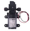 12 v pompa.JPG