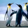 muzikmp3