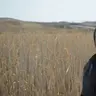 ykmlbz