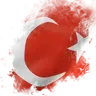 29tr