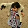 semihkaya26