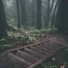 tlqmrtyz