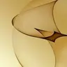 yankii