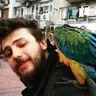 enes.günata