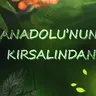 Musaszn71